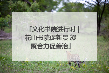 文化书院进行时｜花山书院促新景 凝聚合力促善治